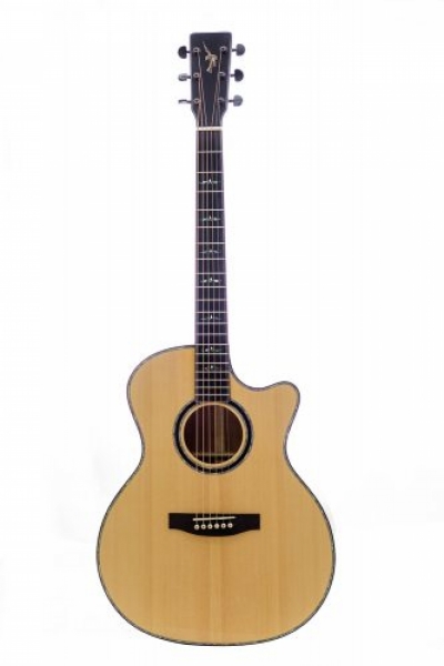 Guitar Thuận AT-04C