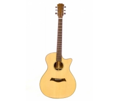 Guitar Trần TD-29