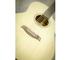 Guitar Trần THD-15