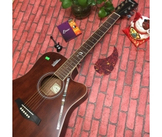 Đàn Guitar Rosen G15