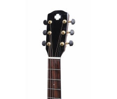 Đàn Guitar Plus F5 Perormer AC 2019